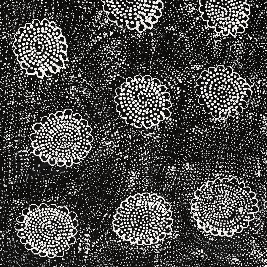 Aboriginal Artwork by Lola Nampijinpa Brown, Ngapa Jukurrpa - Mikanji, 61x30cm
