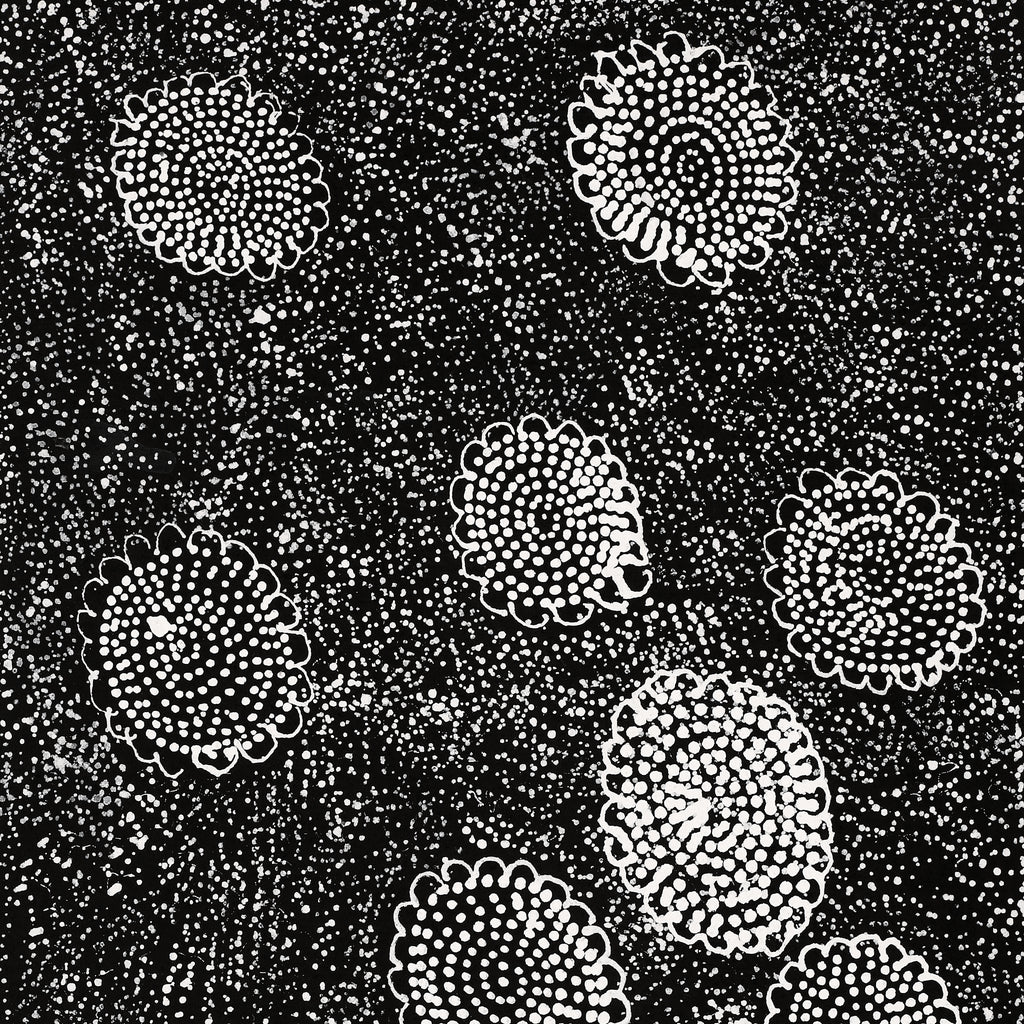 Aboriginal Artwork by Lola Nampijinpa Brown, Ngapa Jukurrpa - Mikanji, 61x30cm