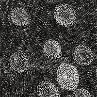 Aboriginal Artwork by Lola Nampijinpa Brown, Ngapa Jukurrpa - Mikanji, 61x30cm