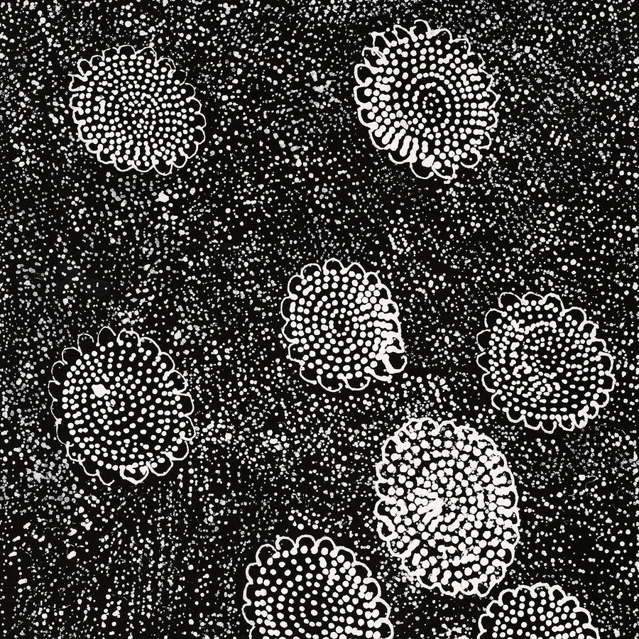 Aboriginal Artwork by Lola Nampijinpa Brown, Ngapa Jukurrpa - Mikanji, 61x30cm