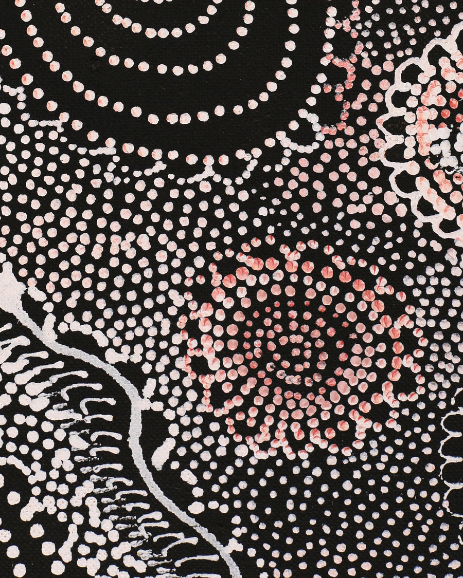 Aboriginal Artwork by Lola Nampijinpa Brown, Ngapa Jukurrpa - Mikanji, 76x61cm