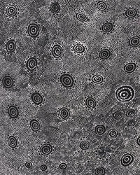 Aboriginal Artwork by Lola Nampijinpa Brown, Ngapa Jukurrpa - Mikanji, 91x61cm