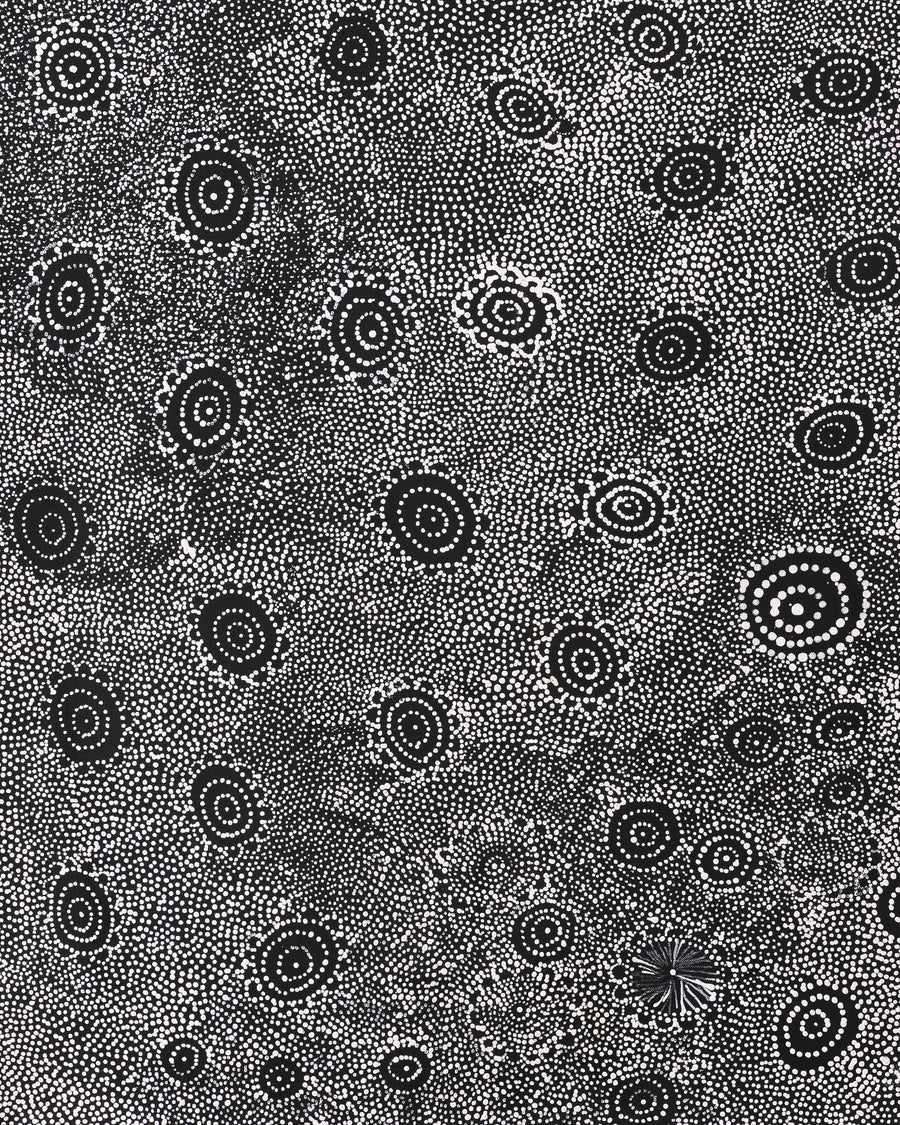 Aboriginal Artwork by Lola Nampijinpa Brown, Ngapa Jukurrpa - Mikanji, 91x61cm