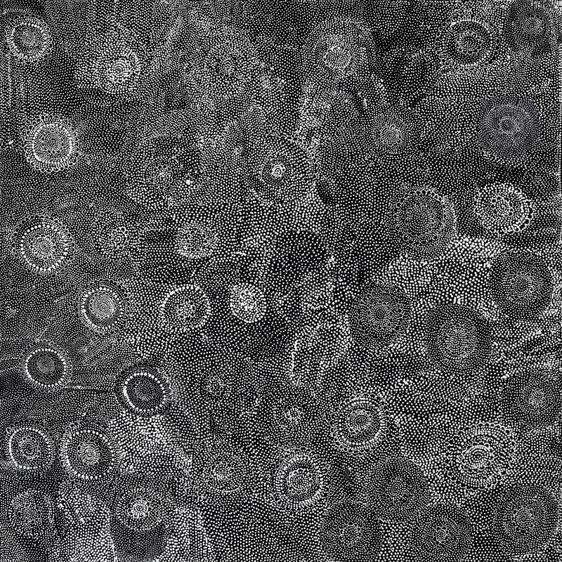 Aboriginal Artwork by Lola Nampijinpa Brown, Ngapa Jukurrpa - Mikanji, 91x91cm