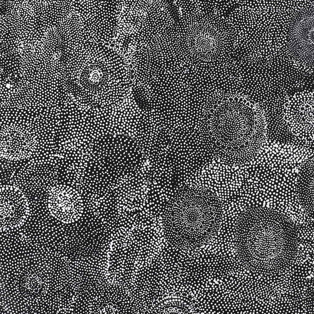 Aboriginal Artwork by Lola Nampijinpa Brown, Ngapa Jukurrpa - Mikanji, 91x91cm
