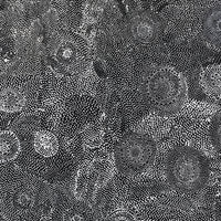 Aboriginal Artwork by Lola Nampijinpa Brown, Ngapa Jukurrpa - Mikanji, 91x91cm