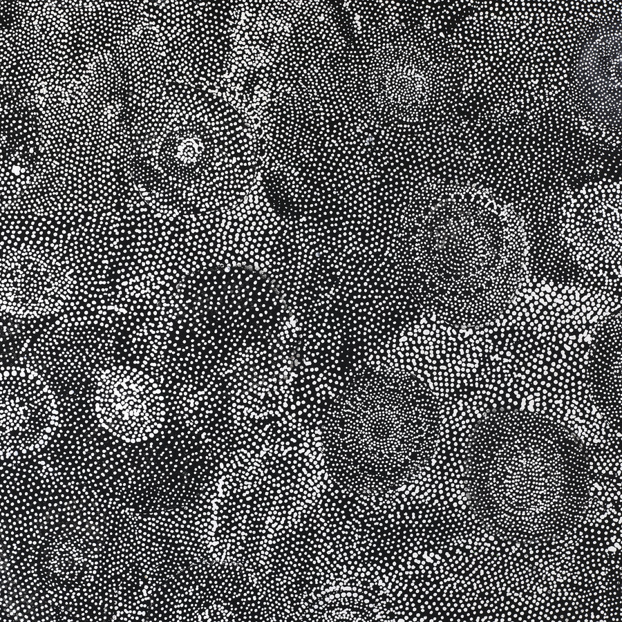 Aboriginal Artwork by Lola Nampijinpa Brown, Ngapa Jukurrpa - Mikanji, 91x91cm