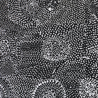 Aboriginal Artwork by Lola Nampijinpa Brown, Ngapa Jukurrpa - Mikanji, 91x91cm