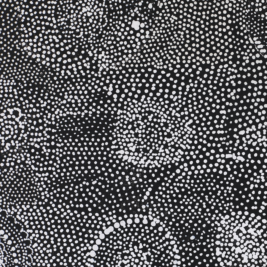 Aboriginal Artwork by Lola Nampijinpa Brown, Ngapa Jukurrpa - Mikanji, 91x91cm