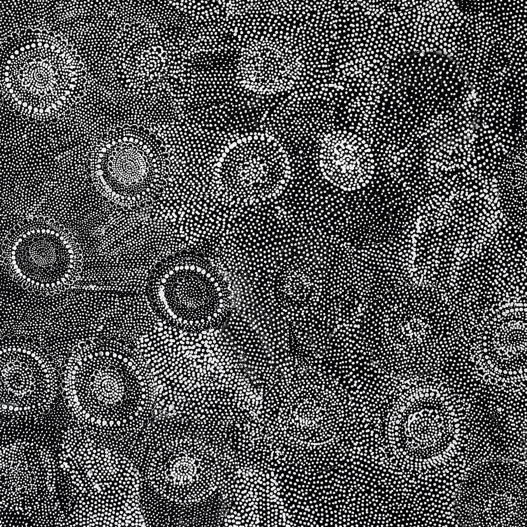Aboriginal Artwork by Lola Nampijinpa Brown, Ngapa Jukurrpa - Mikanji, 91x91cm - ART ARK®