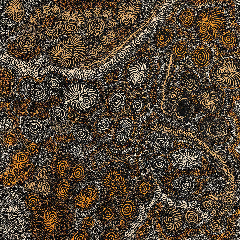 Aboriginal Artwork by Maria Nampijinpa Brown, Ngapa Jukurrpa - Mikanji, 91x91cm