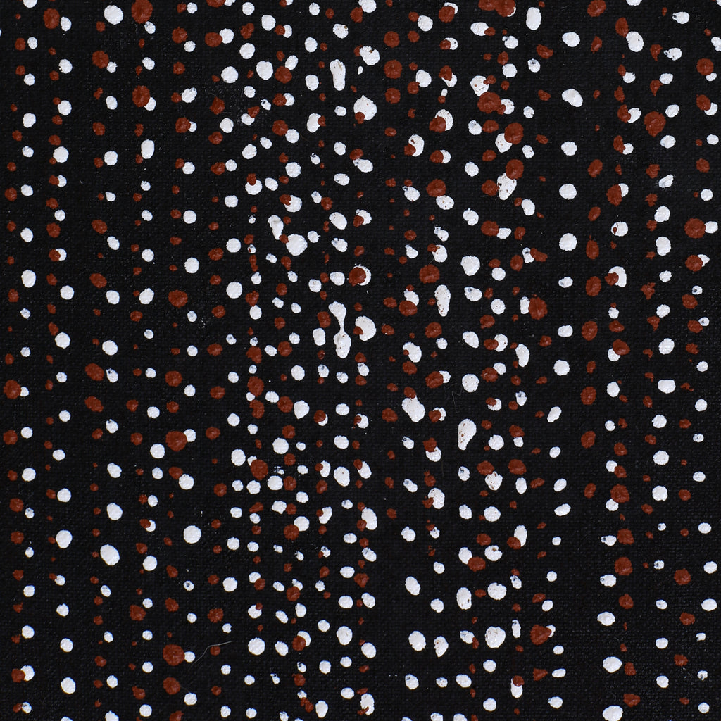 Aboriginal Artwork by Lorraine Nungarrayi Granites, Ngatijirri Jukurrpa (Budgerigar Dreaming), 91x30cm