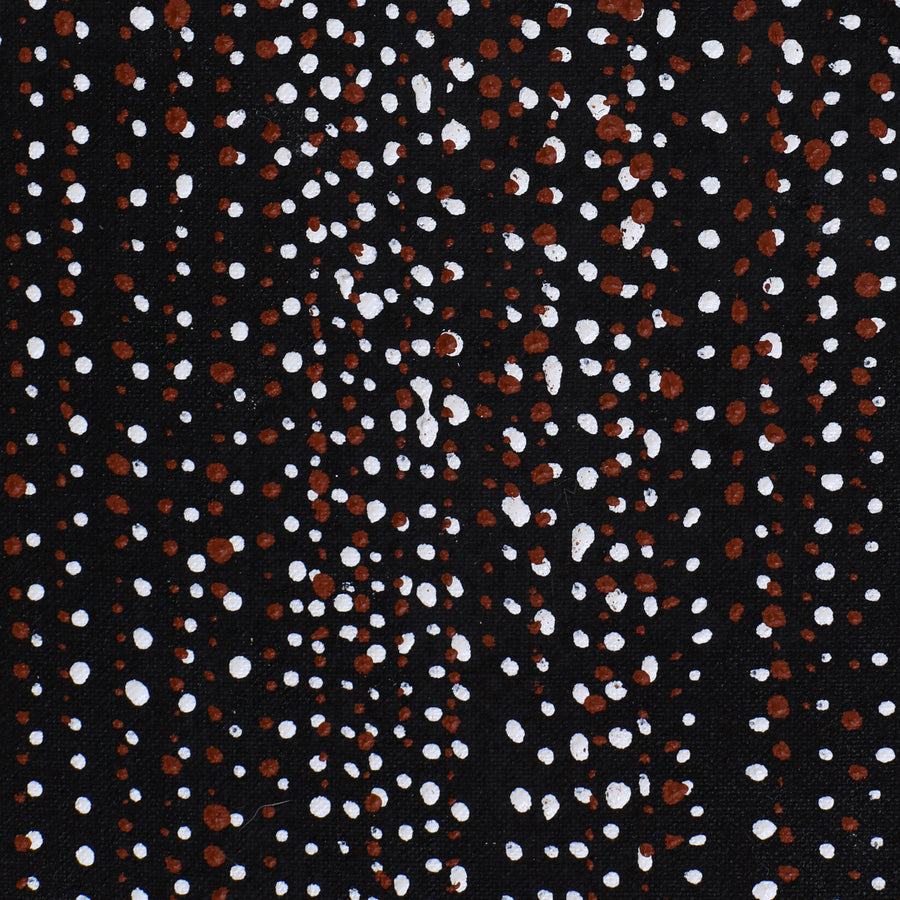 Aboriginal Artwork by Lorraine Nungarrayi Granites, Ngatijirri Jukurrpa (Budgerigar Dreaming), 91x30cm