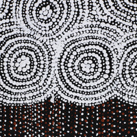 Aboriginal Artwork by Lorraine Nungarrayi Granites, Ngatijirri Jukurrpa (Budgerigar Dreaming), 91x30cm