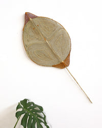Aboriginal Artwork by Louwa Bardaluna, Nawarlah - Brown River Stingray, 110x45cm