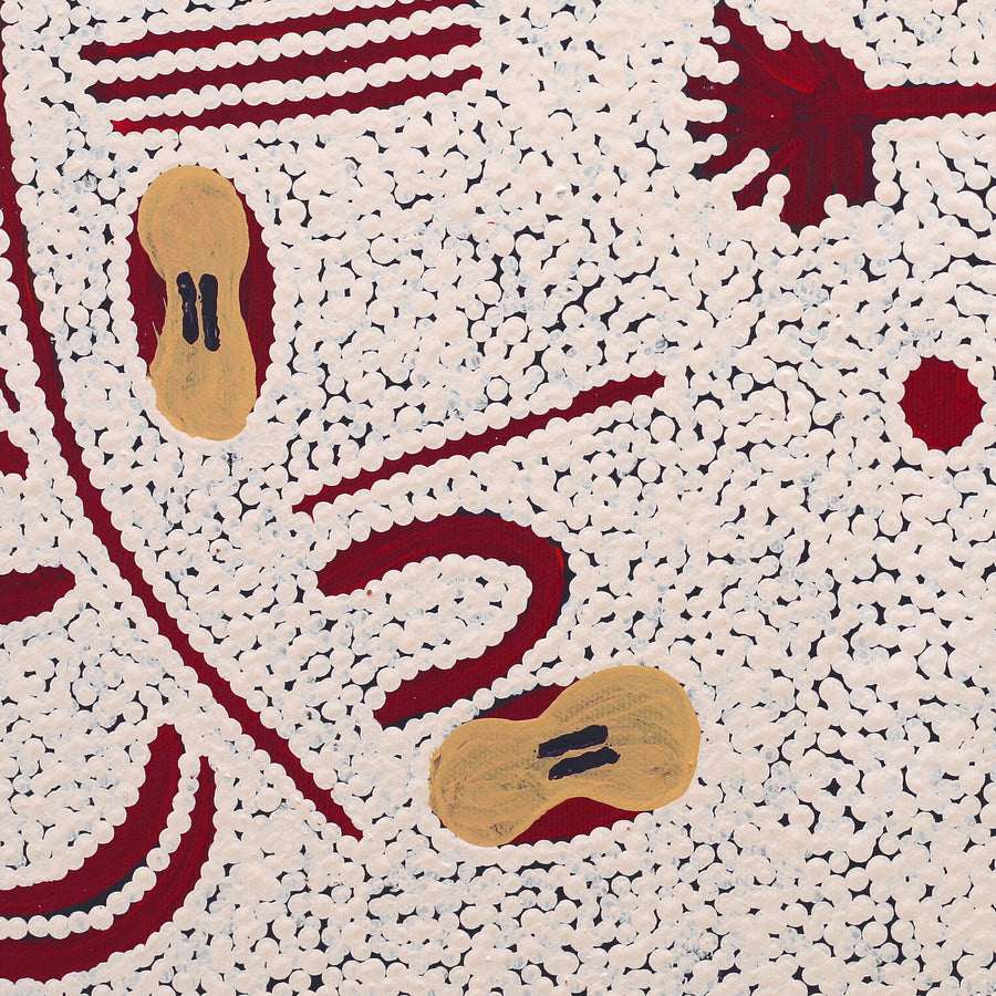 Aboriginal Artwork by Lynette Nampijinpa Granites, Warlukurlangu Jukurrpa (Fire country Dreaming), 50x40cm