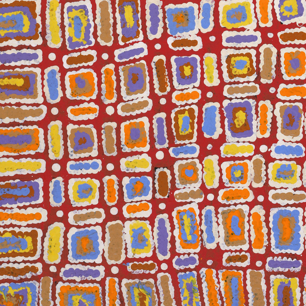 Aboriginal Artwork by Lynette Nangala Singleton, Ngapa Jukurrpa - Puyurru, 61x46cm