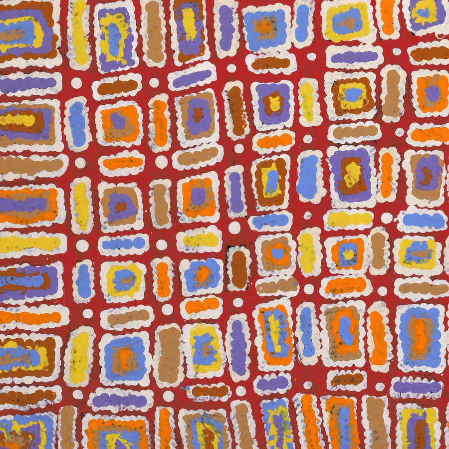 Aboriginal Artwork by Lynette Nangala Singleton, Ngapa Jukurrpa - Puyurru, 61x46cm