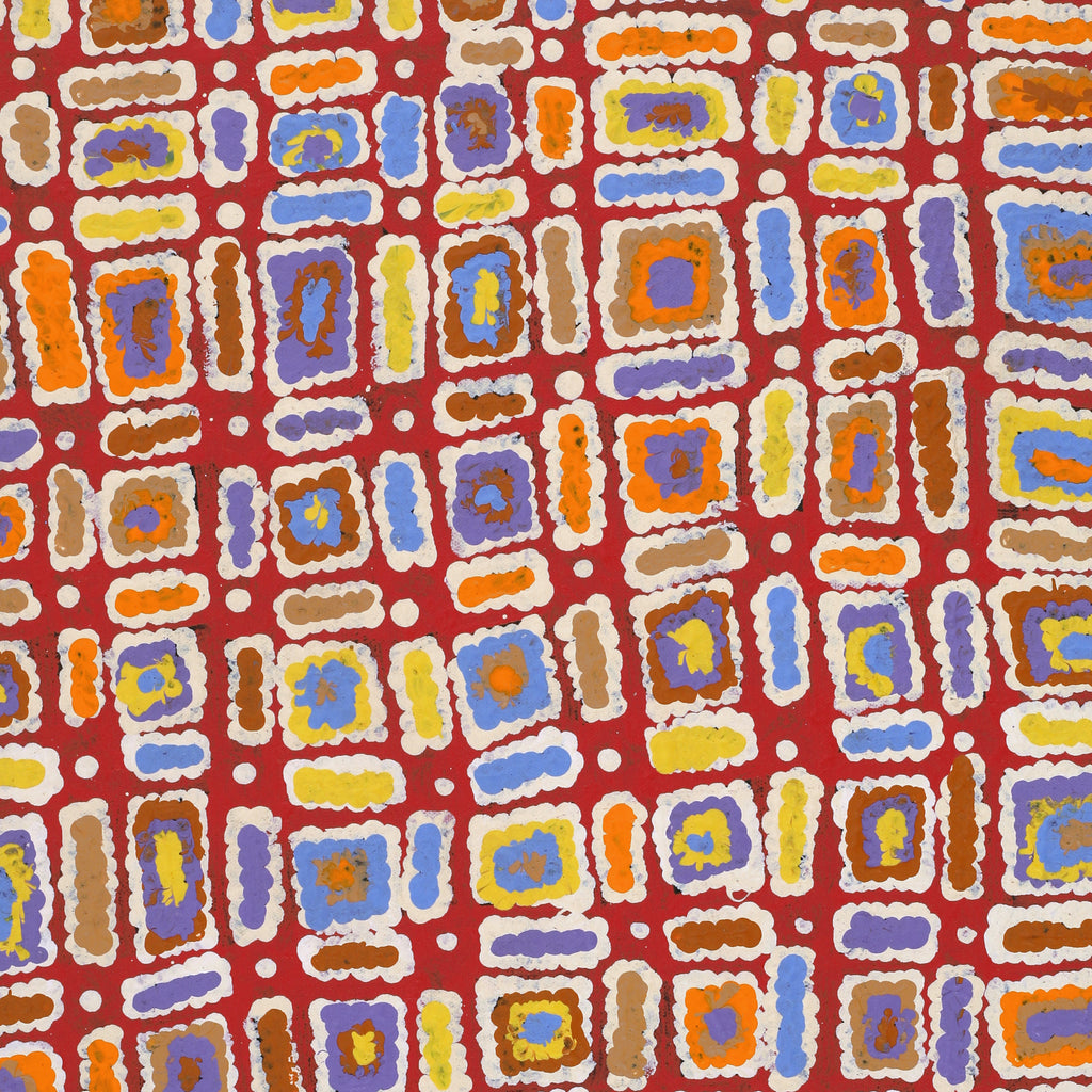 Aboriginal Artwork by Lynette Nangala Singleton, Ngapa Jukurrpa - Puyurru, 61x46cm