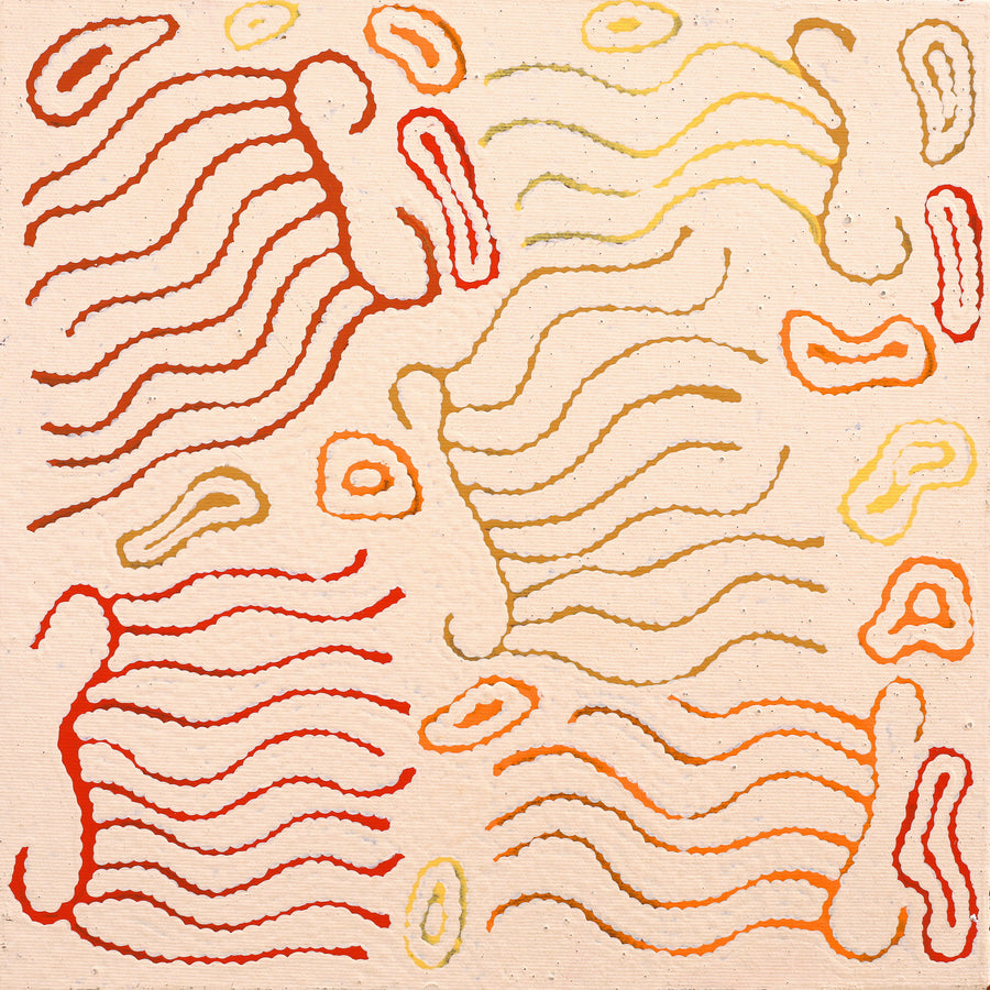 Aboriginal Artwork by Madeleine Napangardi Dixon, Majardi Jukurrpa (Hairstring Belt/Skirt Dreaming) - Mina Mina, 30x30cm