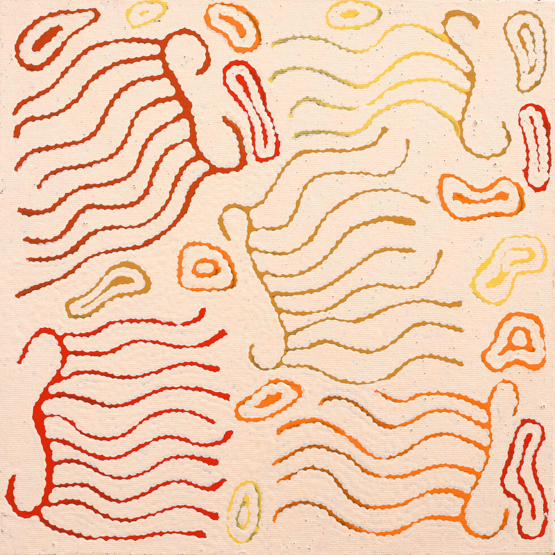 Aboriginal Artwork by Madeleine Napangardi Dixon, Majardi Jukurrpa (Hairstring Belt/Skirt Dreaming) - Mina Mina, 30x30cm