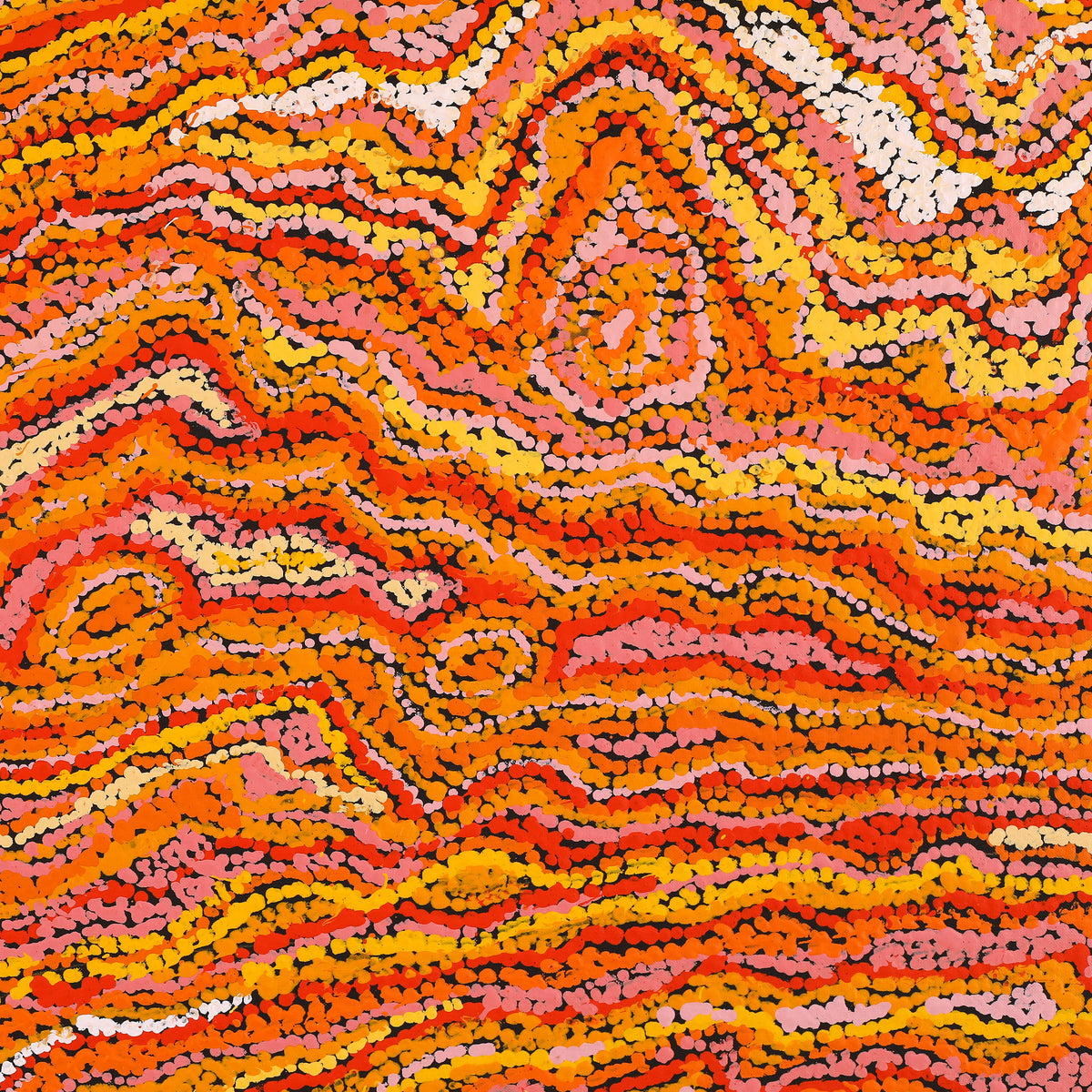 Aboriginal Art by Magda Nakamarra Curtis, Lappi Lappi Jukurrpa, 107x107cm - ART ARK®