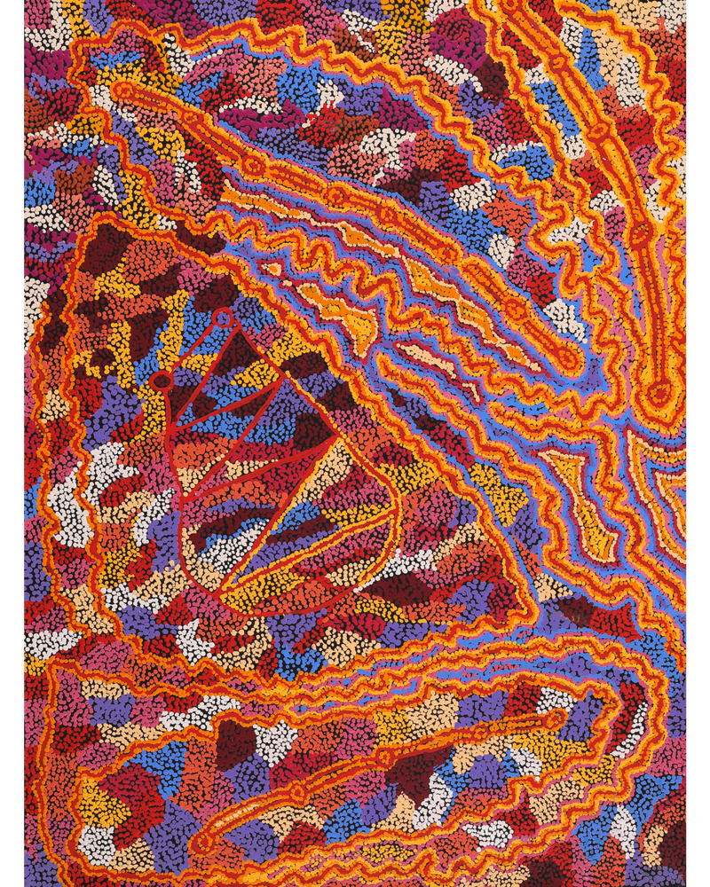 Aboriginal Artwork by Magda Nakamarra Curtis, Lappi Lappi Jukurrpa, 122x91cm