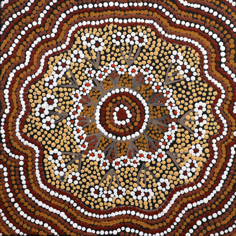Maggie Napangardi Williams, Janmarda Jukurrpa (Bush Onion Dreaming), 30x30cm