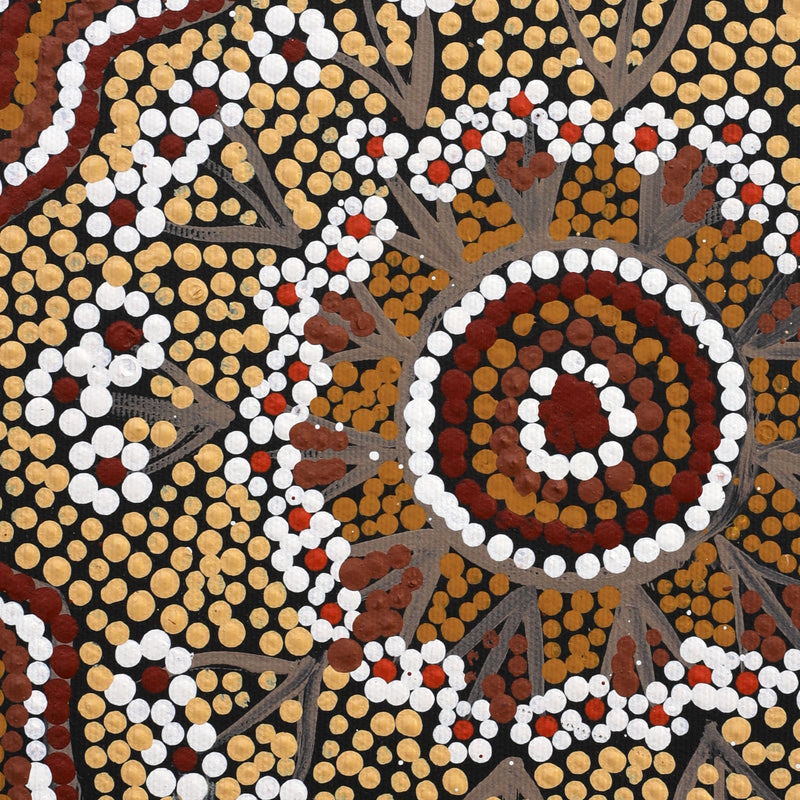 Maggie Napangardi Williams, Janmarda Jukurrpa (Bush Onion Dreaming), 30x30cm