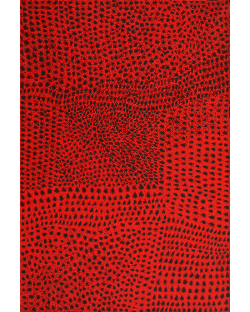 Aboriginal Artwork by Maisie Napurrurla Wayne, Ngurlu Jukurrpa (Native Seed Dreaming), 91x61cm