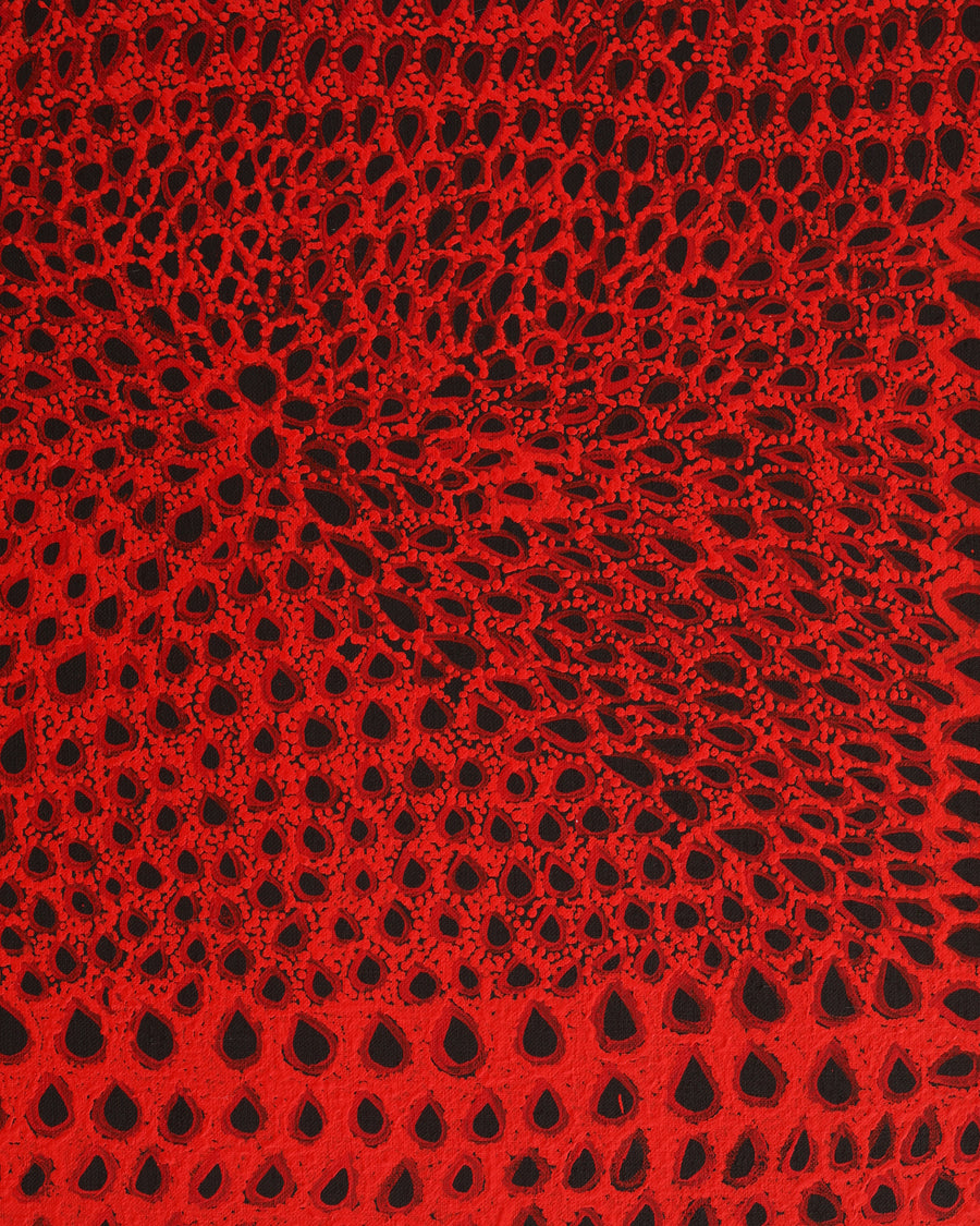 Aboriginal Artwork by Maisie Napurrurla Wayne, Ngurlu Jukurrpa (Native Seed Dreaming), 91x61cm