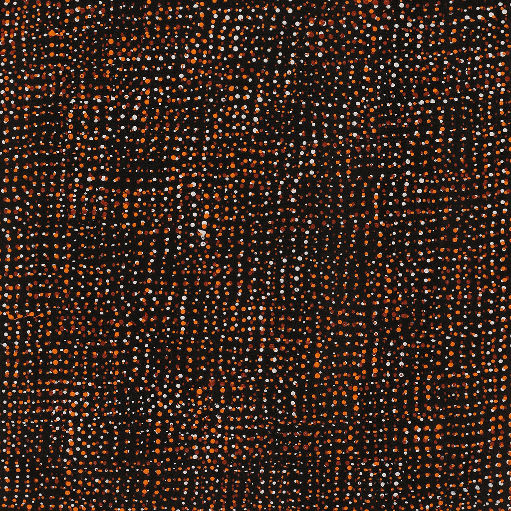 Aboriginal Artwork by Maitland Jupurrula Nelson, Patterns of the Landscape around Yuendumu, 61x30cm