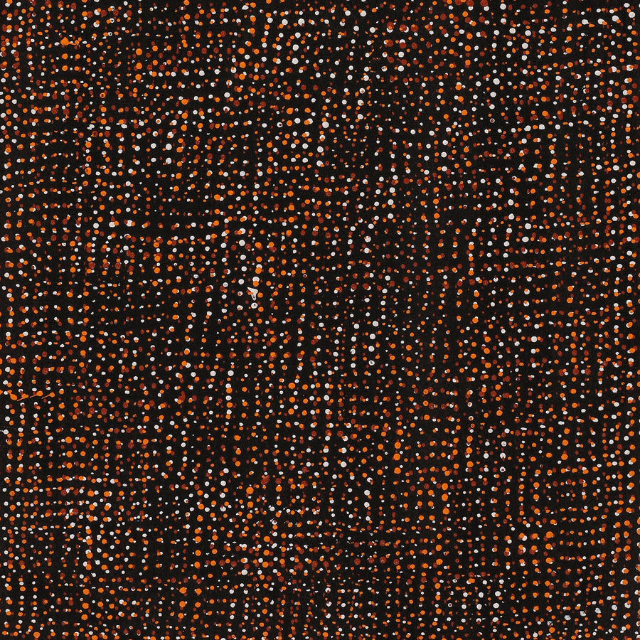 Aboriginal Artwork by Maitland Jupurrula Nelson, Patterns of the Landscape around Yuendumu, 61x30cm