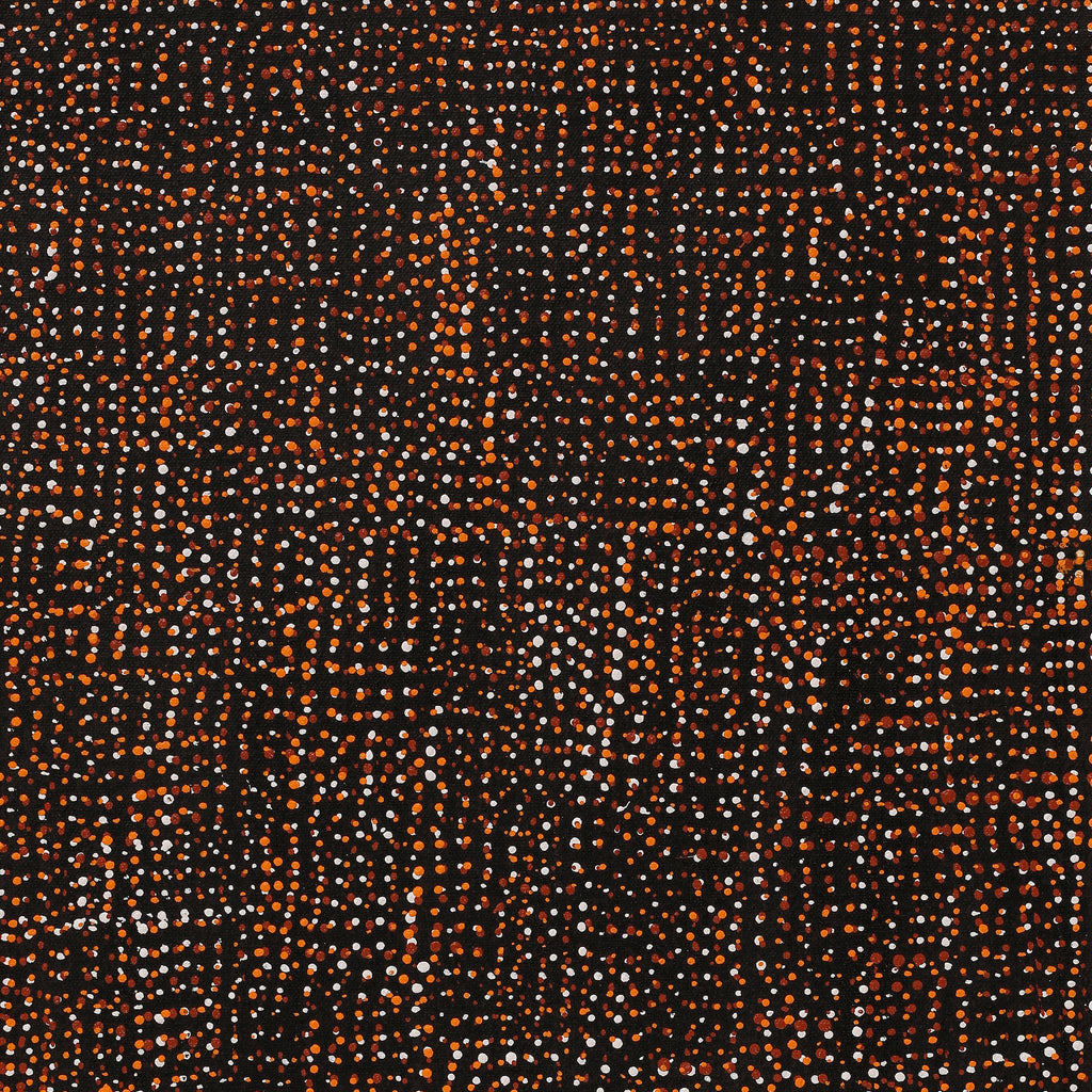 Aboriginal Artwork by Maitland Jupurrula Nelson, Patterns of the Landscape around Yuendumu, 61x30cm