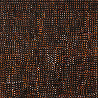 Aboriginal Artwork by Maitland Jupurrula Nelson, Patterns of the Landscape around Yuendumu, 61x30cm