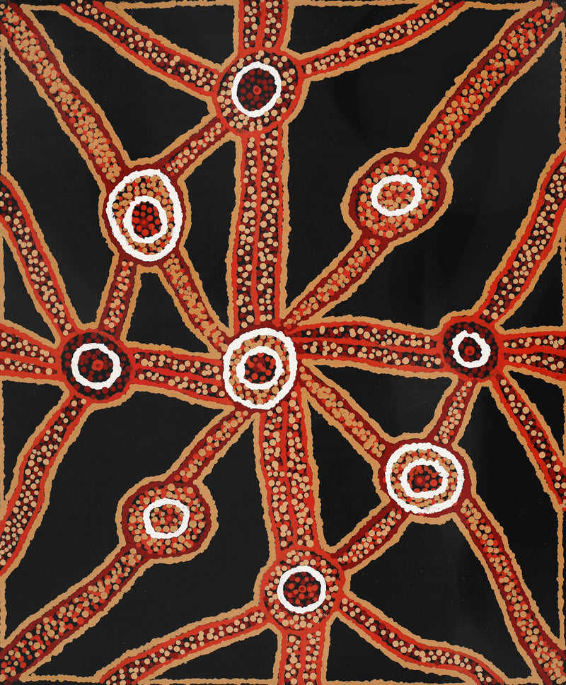 Aboriginal Artwork by Marcia James, Walka, 46x38cm