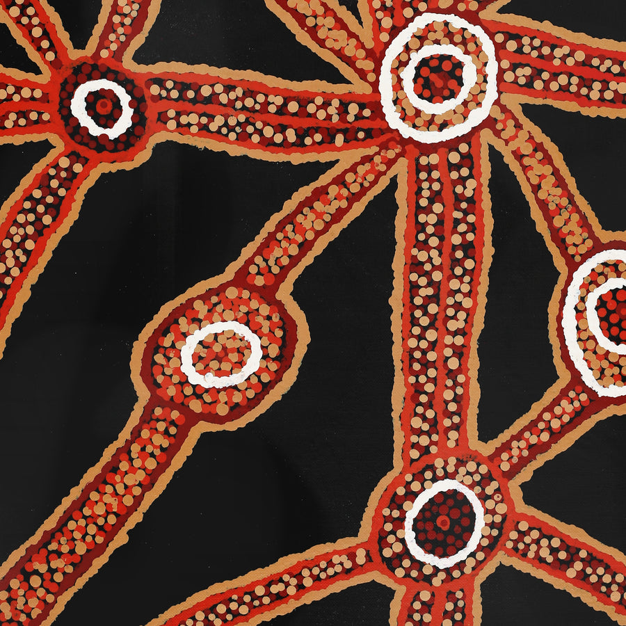 Aboriginal Artwork by Marcia James, Walka, 46x38cm