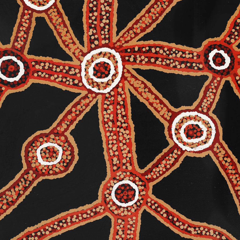 Aboriginal Artwork by Marcia James, Walka, 46x38cm