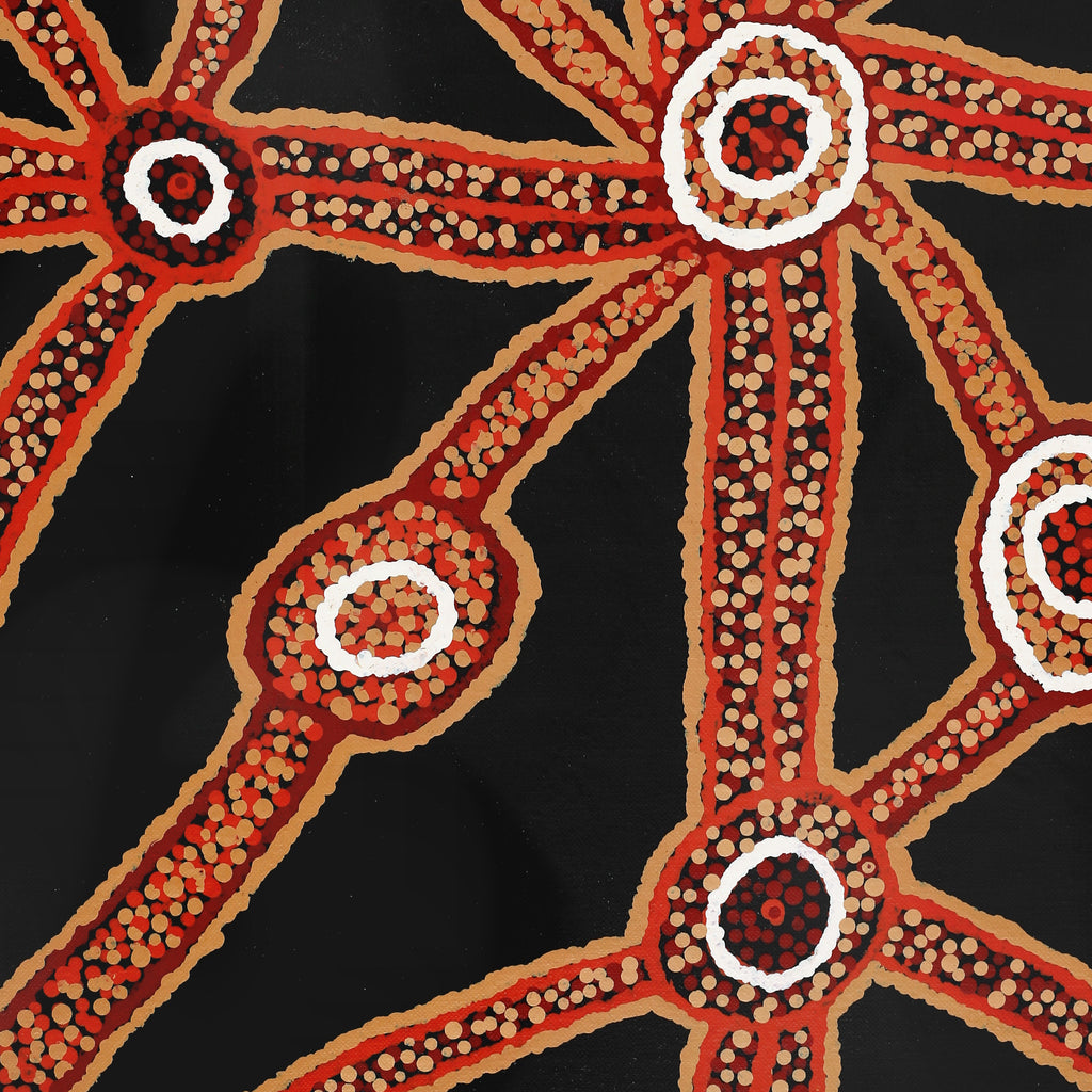 Aboriginal Art by Marcia James, Walka, 46x38cm - ART ARK®