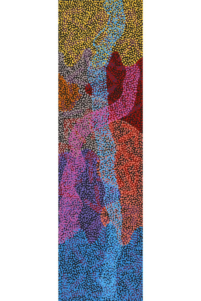 Aboriginal Artwork by Margaret Nangala Gallagher, Yankirri Jukurrpa (Emu Dreaming), 107x30cm