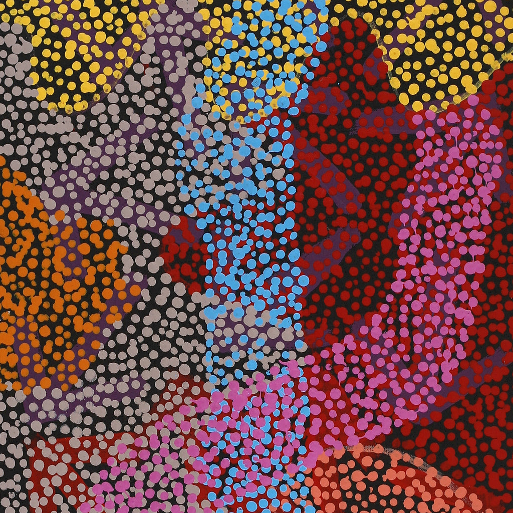Aboriginal Artwork by Margaret Nangala Gallagher, Yankirri Jukurrpa (Emu Dreaming), 107x30cm