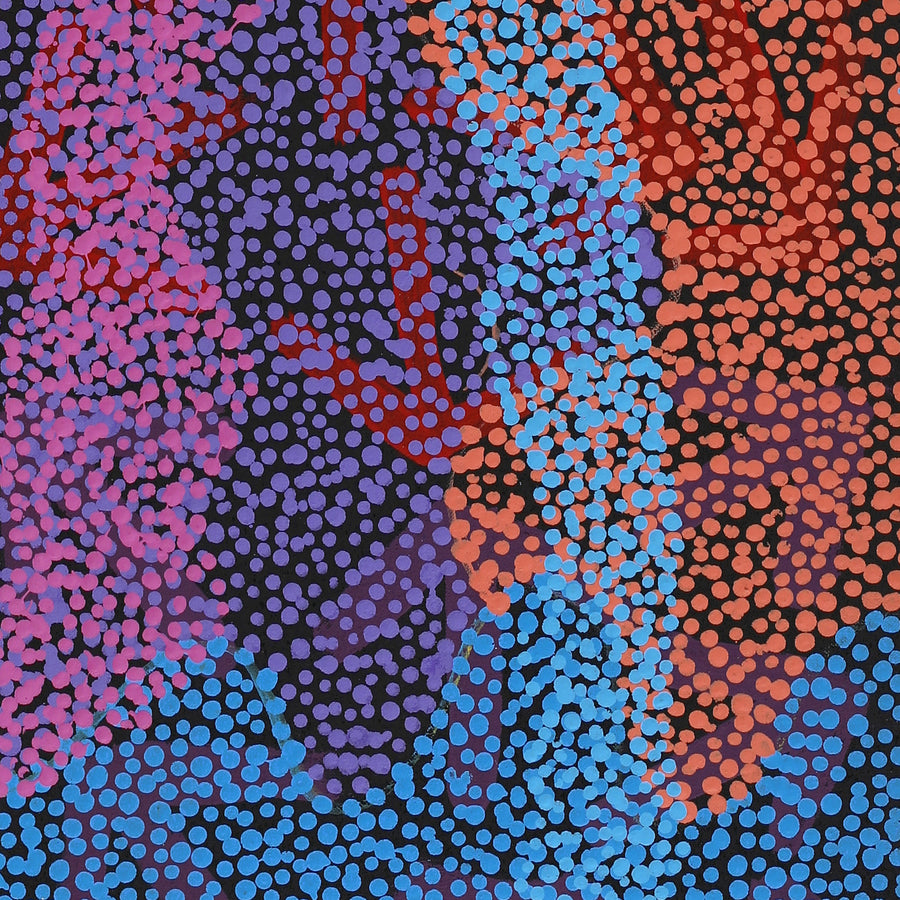 Aboriginal Artwork by Margaret Nangala Gallagher, Yankirri Jukurrpa (Emu Dreaming), 107x30cm