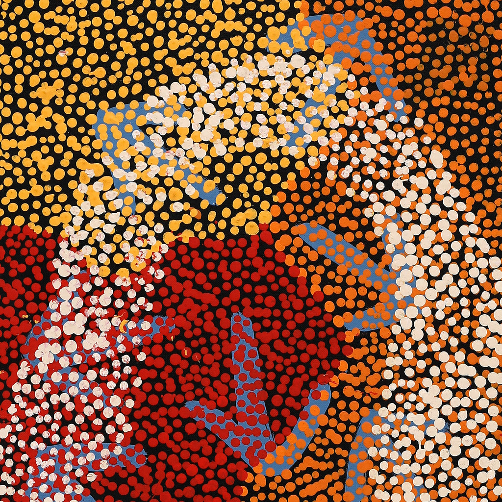 Aboriginal Artwork by Margaret Nangala Gallagher, Yankirri Jukurrpa (Emu Dreaming), 107x30cm