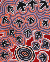 Aboriginal Artwork by Margaret Nangala Gallagher, Yankirri Jukurrpa (Emu Dreaming), 107x46cm