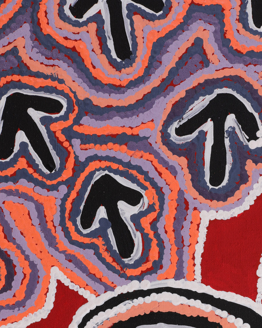 Aboriginal Artwork by Margaret Nangala Gallagher, Yankirri Jukurrpa (Emu Dreaming), 107x46cm