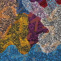 Aboriginal Artwork by Margaret Nangala Gallagher, Yankirri Jukurrpa (Emu Dreaming), 107x46cm