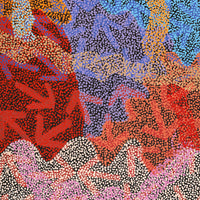 Aboriginal Artwork by Margaret Nangala Gallagher, Yankirri Jukurrpa (Emu Dreaming), 107x61cm
