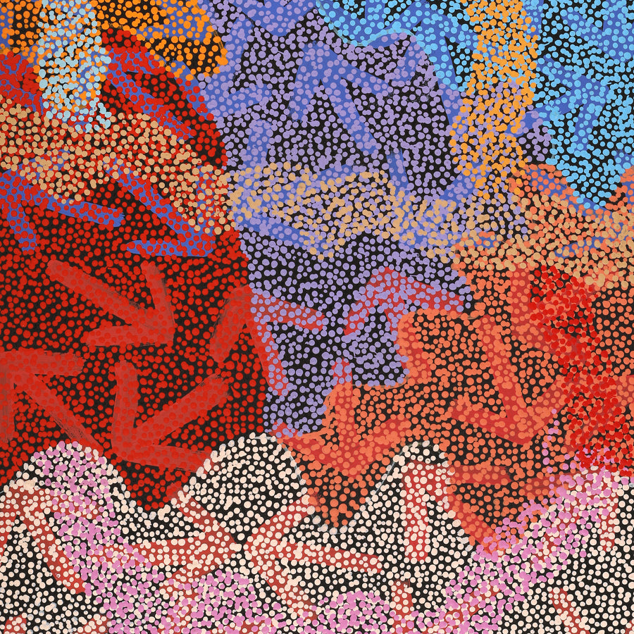 Aboriginal Artwork by Margaret Nangala Gallagher, Yankirri Jukurrpa (Emu Dreaming), 107x61cm