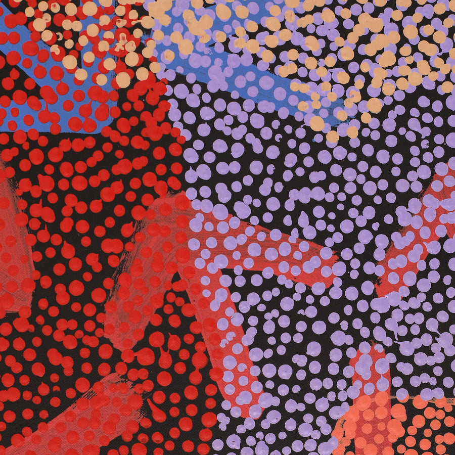 Aboriginal Artwork by Margaret Nangala Gallagher, Yankirri Jukurrpa (Emu Dreaming), 107x61cm