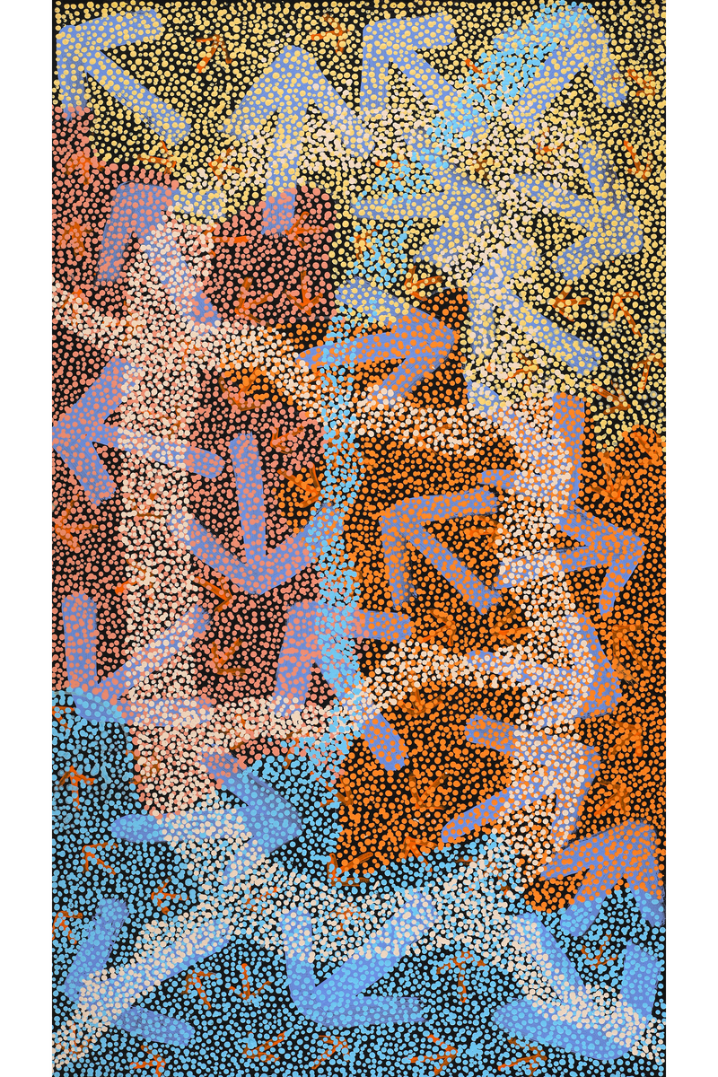 Aboriginal Art by Margaret Nangala Gallagher, Yankirri Jukurrpa (Emu Dreaming), 107x61cm - ART ARK®